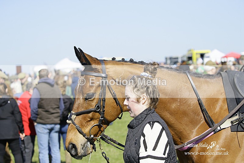 PtP 190322 148 - Wilton Hunt PtP Milborne St Andrew 19/03/22