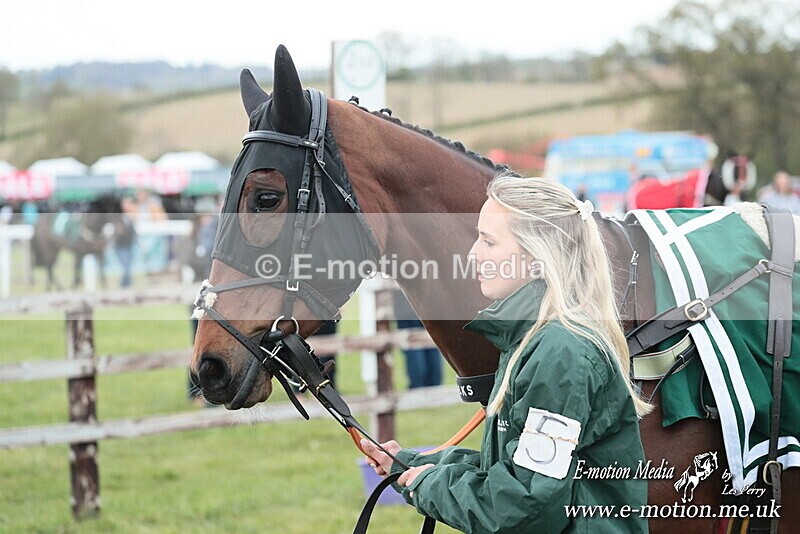 PtP 130425 334 - Edgecote Races 13/04/25