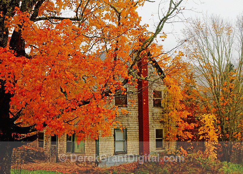 Country Homestead Autumn Foliage New Brunswick Canada - Autumn Foliage