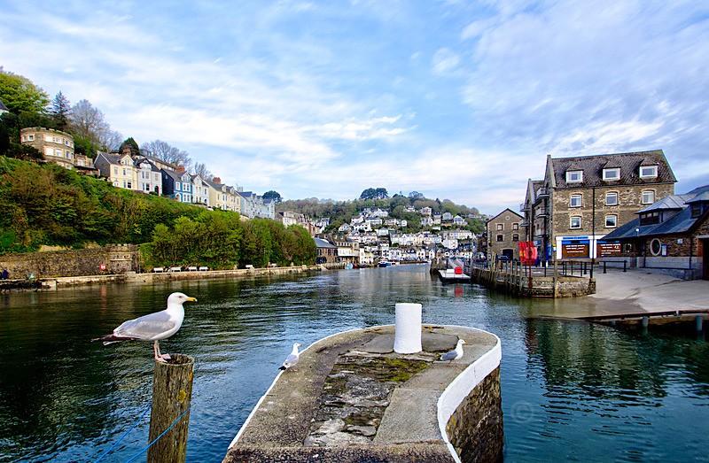 Early morning at Looe looking up river from The Little Banjo pier - Looe
