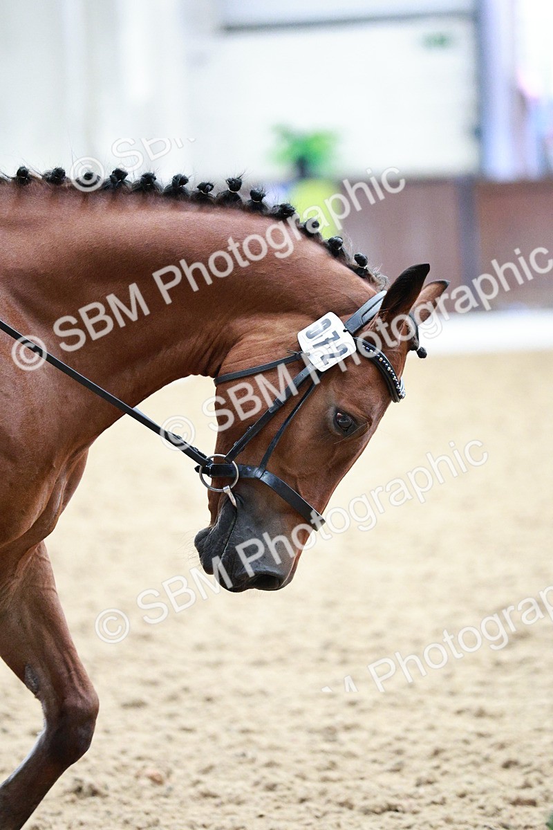 SBM_004751 - Class - 14 - Novice FSM - 11.13-12.01
