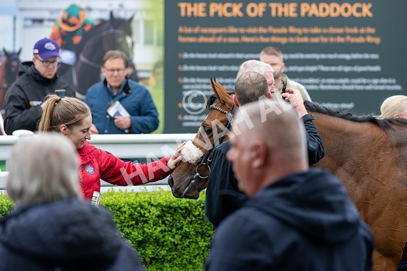 230524-Race 1-Brazilian Belle-1258 - Race 1