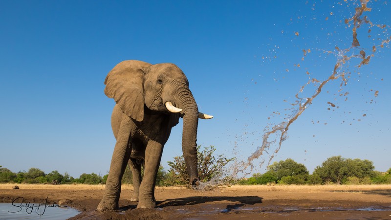 Spraying Water 2