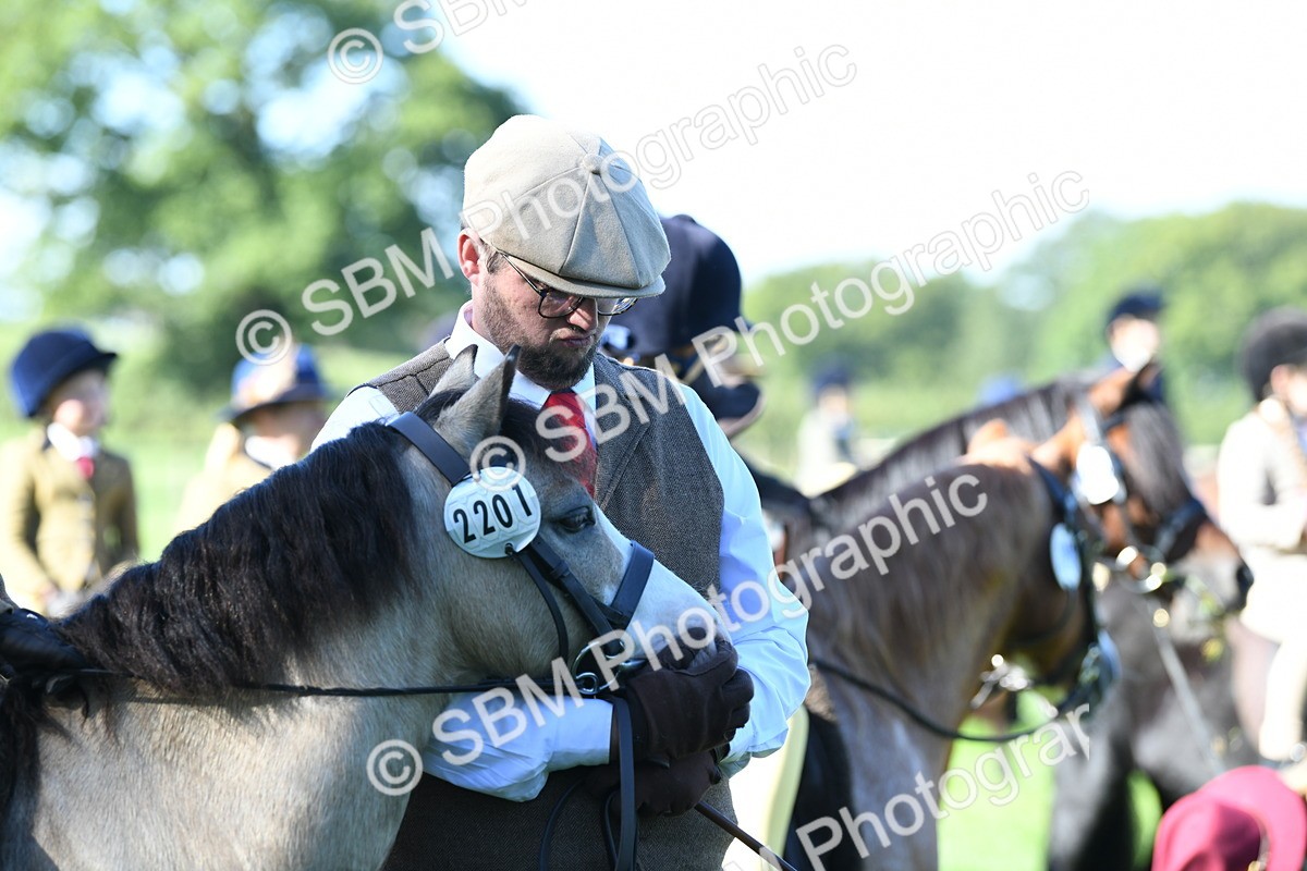 SBM_36944 - S18 - Novice & Newcomers Lead Rein Pony