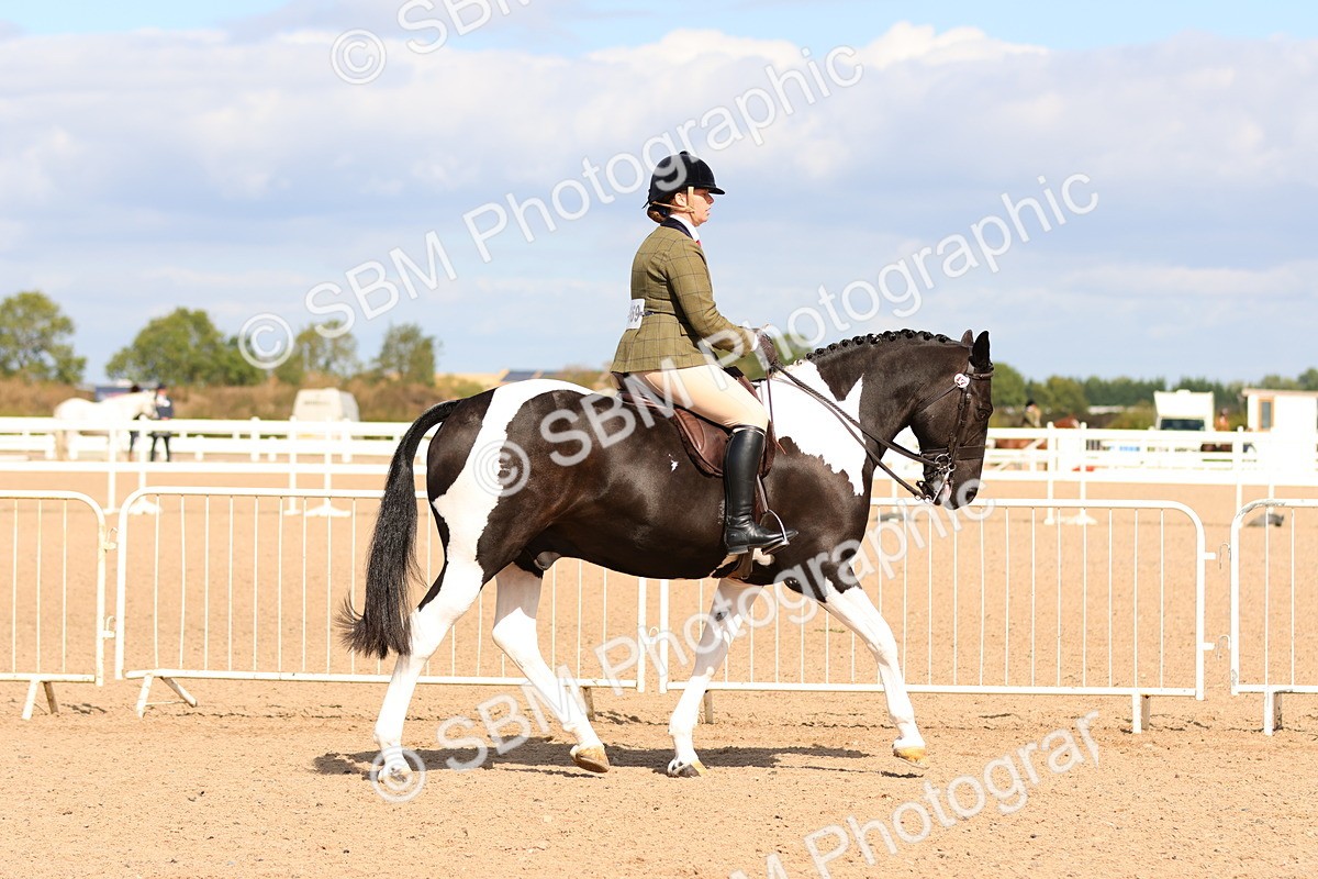 SBM_13467 - Class 212 - Ridden Hunter  - Large