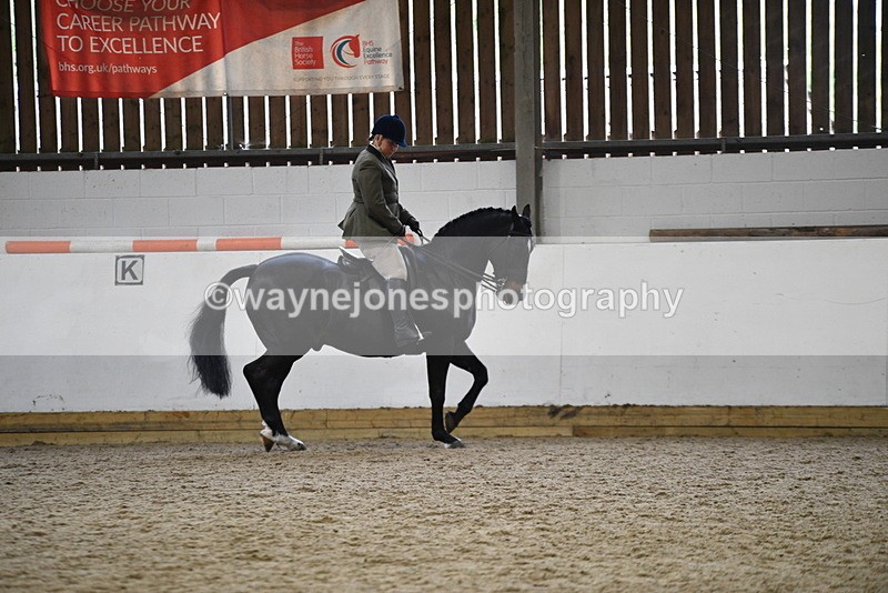 WJ5_7813 - Class 13 Ridden Part Breed