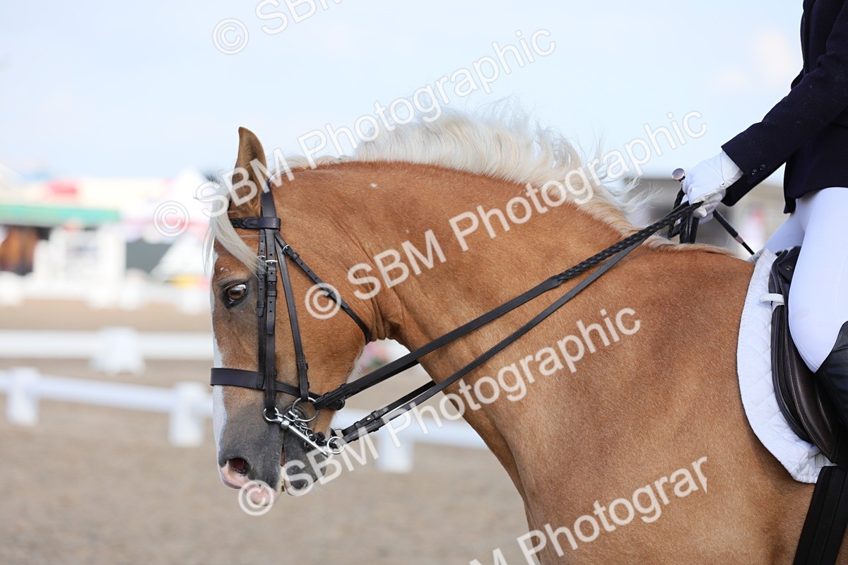 SBM_07689 - Class 33 Elementary 1