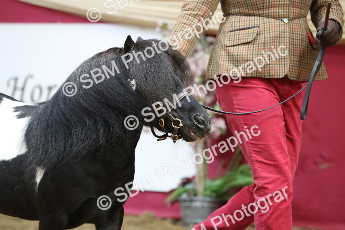 SBM_15092 - Class 501 M&M IH Supreme Final