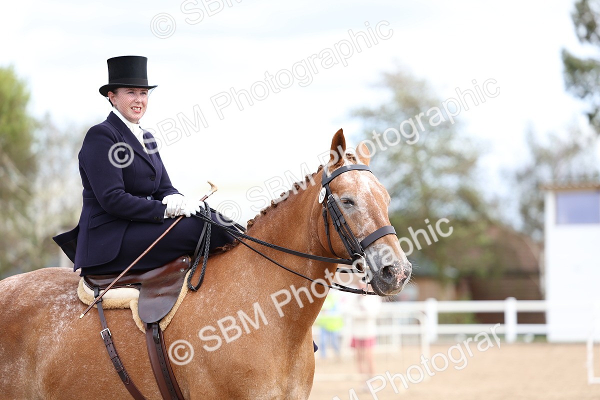 SBM_03432 - Class 24 - SSA Concours d'elegance (any age)