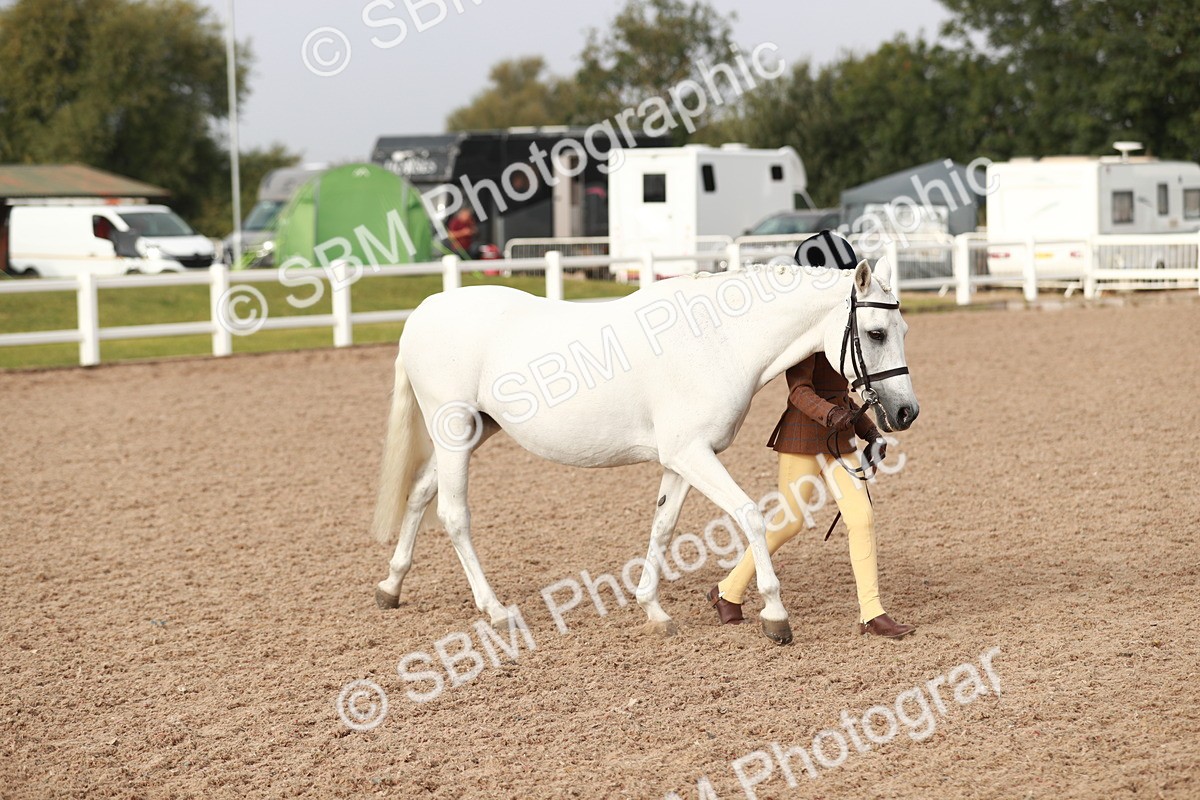 SBM_09843 - Class 203 Young Handler, 10 years and under