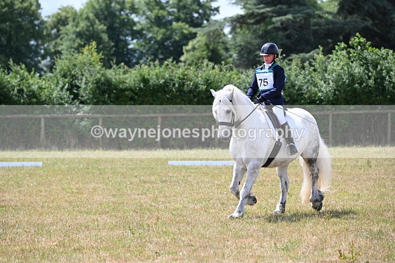 WJ6_3407 - Time 11:34 to 11:43