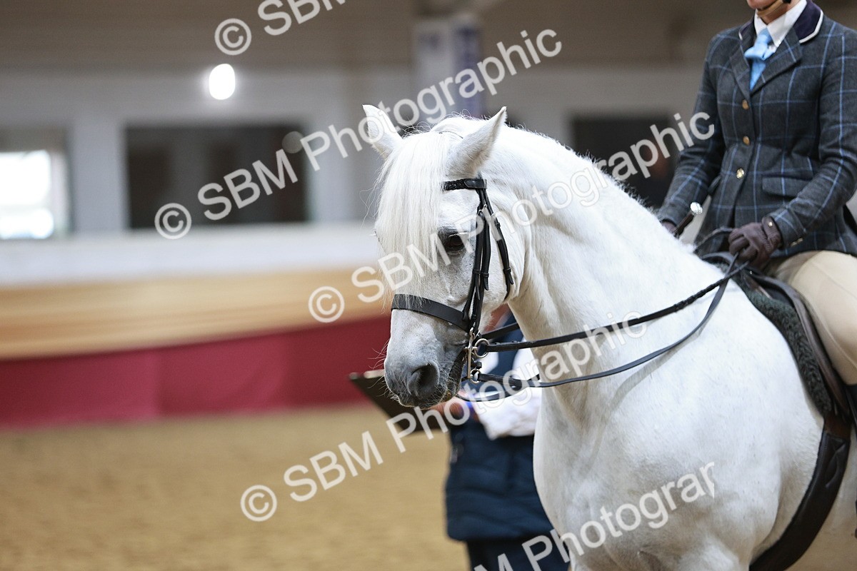 SBM_08894 - Class 12R - Regional Ridden Pre-Vet