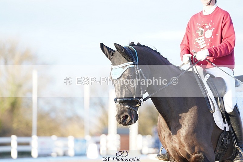 241214-154708-02247 - 131-Alys.Matravers-DARGASONS.MOON.SHADOW