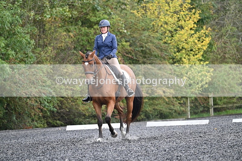 WJ7_4398 - Time 11:43 to 12:09