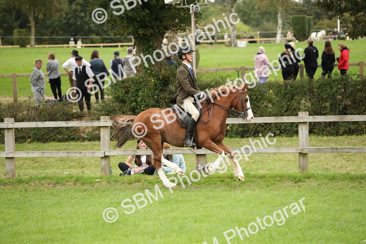 SBM_73798 - S41 - Ridden Equitation (Best Rider)