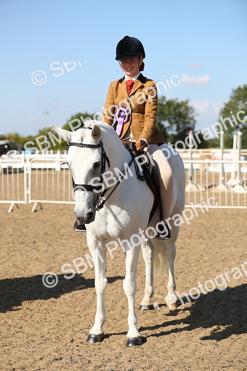 SBM_02402 - Class 43 Ridden Competition Horse/Pony