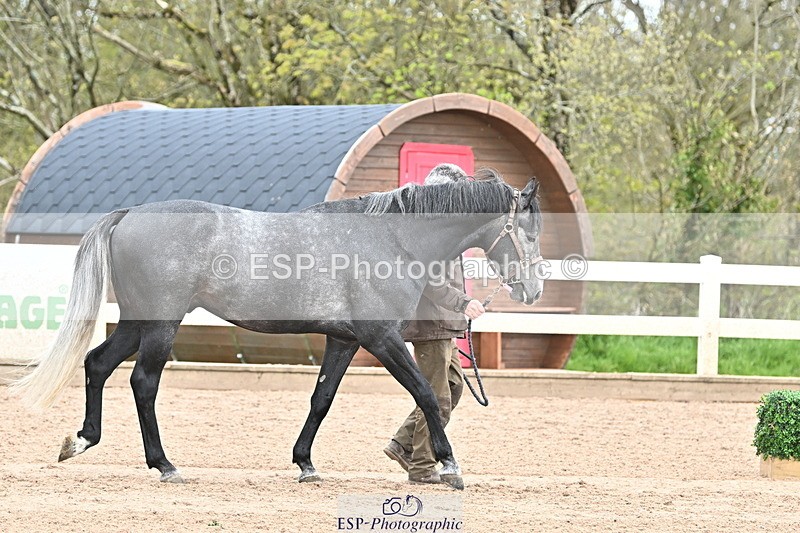 240417A-123857-00159 - 12pm to 1pm