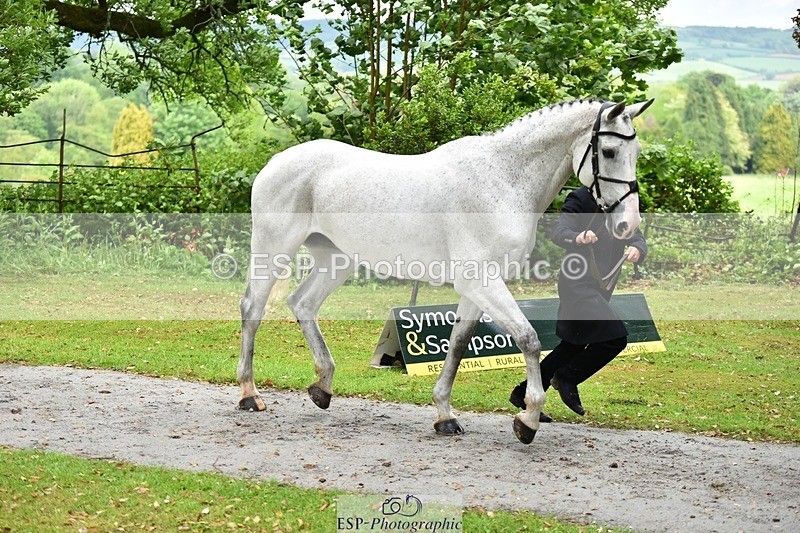 240522-155258-00554 - 111-FATHERS_COMPROMISE-Finn_Healy