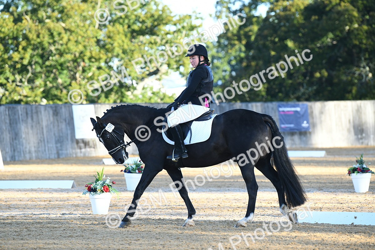 SBM_14293 - D4 - Small Tour Championship - Intro B