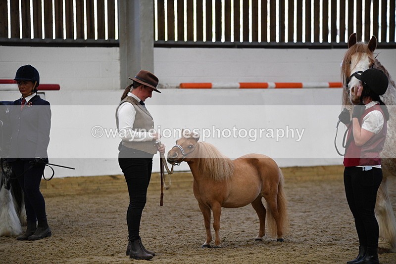 WJ5_5088 - Class 7 In hand coloured / odd coloured