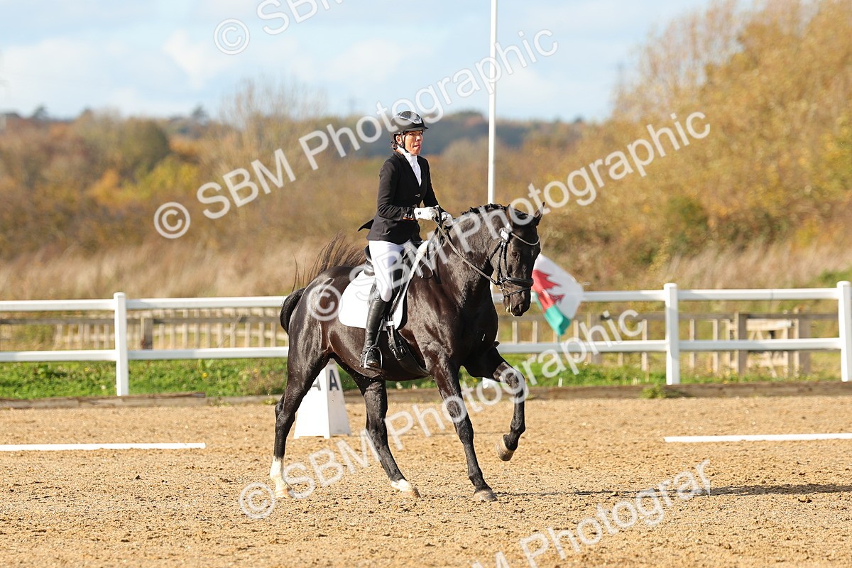 SBM_001417 - Medium 3