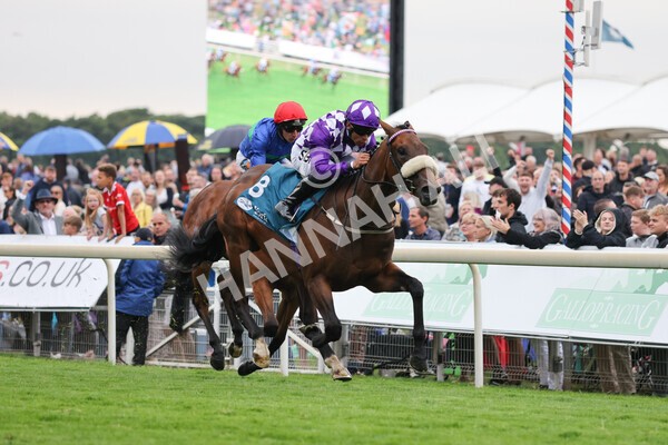 yr22072022r4-28 - Race 4 6.50pm The IRE Incentive It Pays To Buy Irish EBF Restricted Novice Stakes