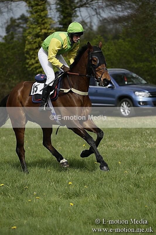 PtP 170417 279 - Old Berks Point-to-Point Lockinge 17/04/17