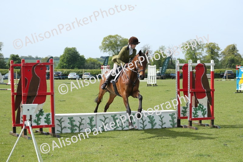 20260426-1805 - Class 14 - Novice 60cm