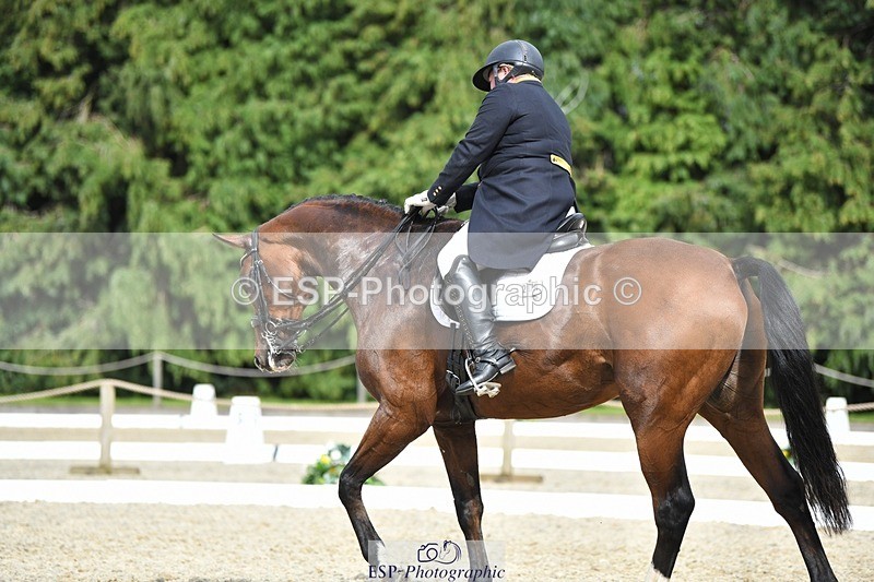 230812-155446-05261 - Cls 10 FEI Inter I Silver