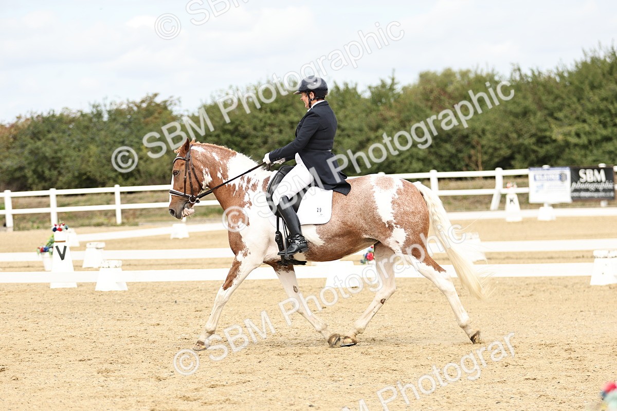 SBM_007326 - Class 25 - FEI PSG Bronze