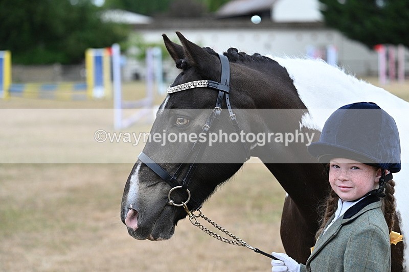 WJ7_9721 - Class 5 Most Handsome Gelding (up to 14.2hh)