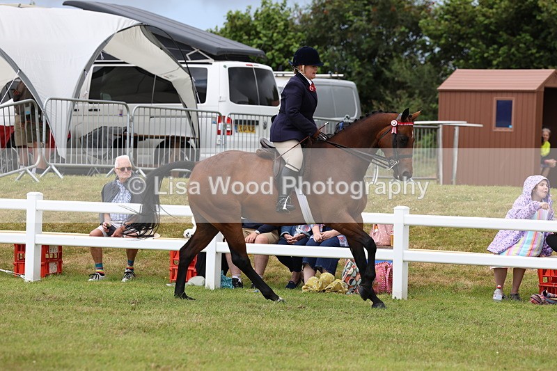 3E7A0892 - Class 8: Open Riding Horse/Hack