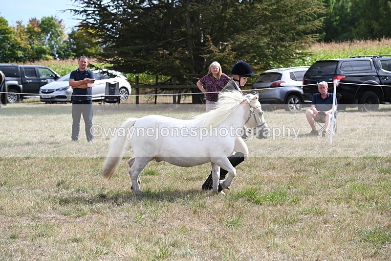 WJ6_6923 - Class 21 Shetland & Mini Horses