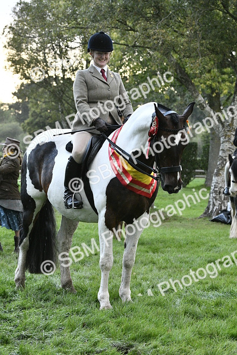 SBM_53341 - S14 - Riding Club Horse