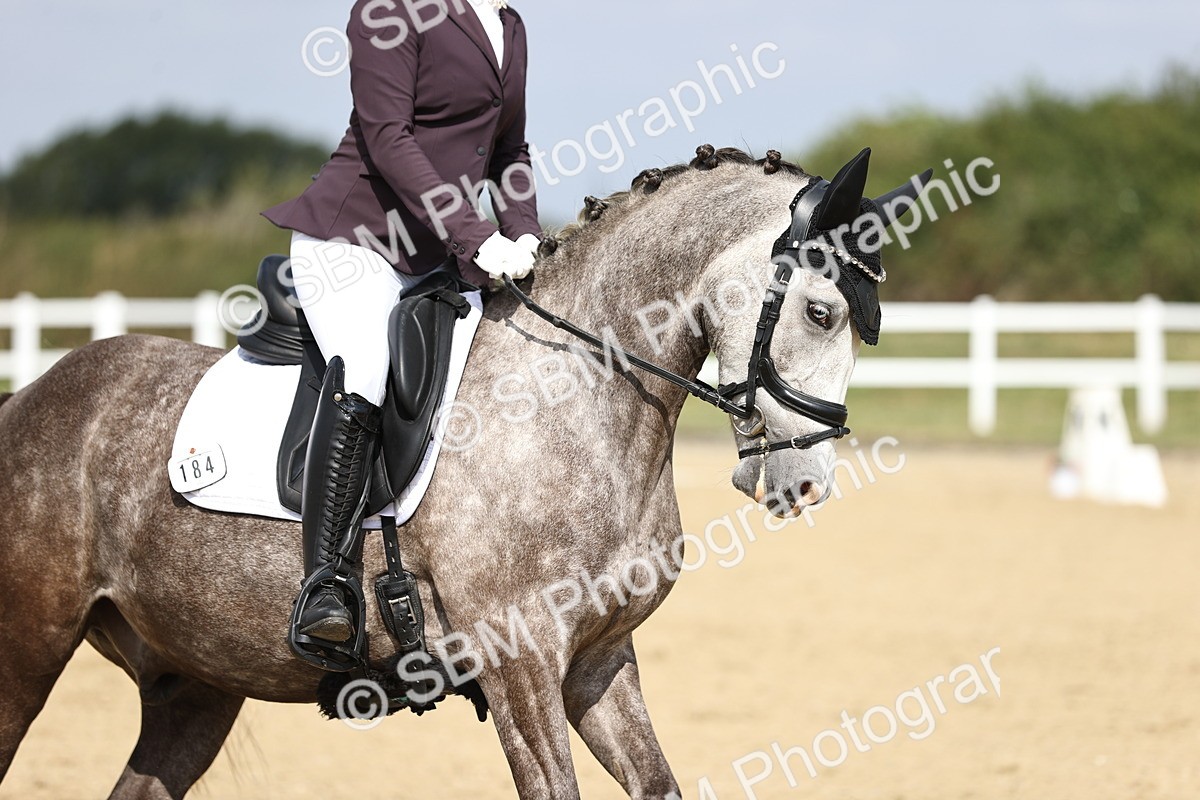 SBM_016257 - Class 14 - Novice 23 - 10.29-11.32