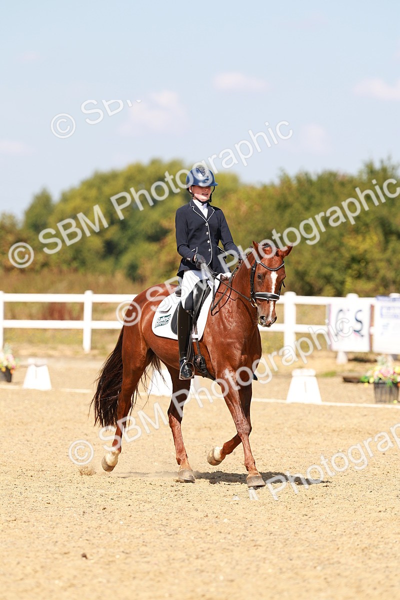 SBM_018305 - Class 9 - N5 Bronze 11.57.13.07