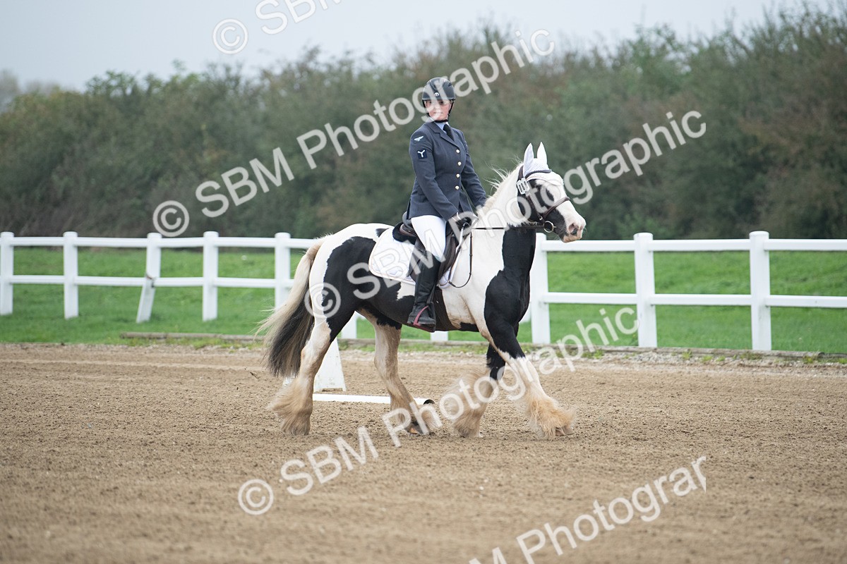 SBM_003362 - Introductory Test 3