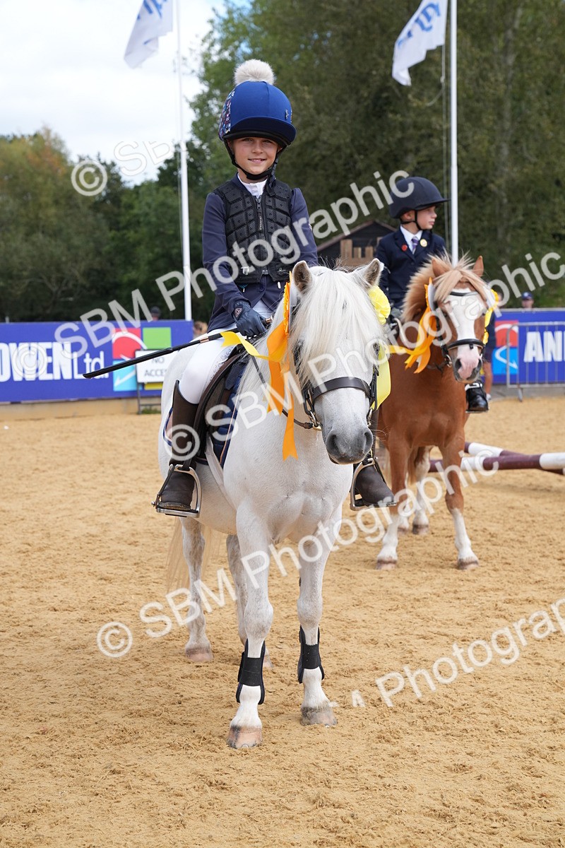 SBM_64536 - J2 - Mini Tour Junior Pony 30cm Championship