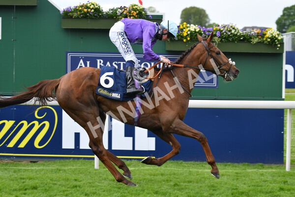 yr22052021r2-24 - Race 2 2.40pm William Hill Brontë Cup