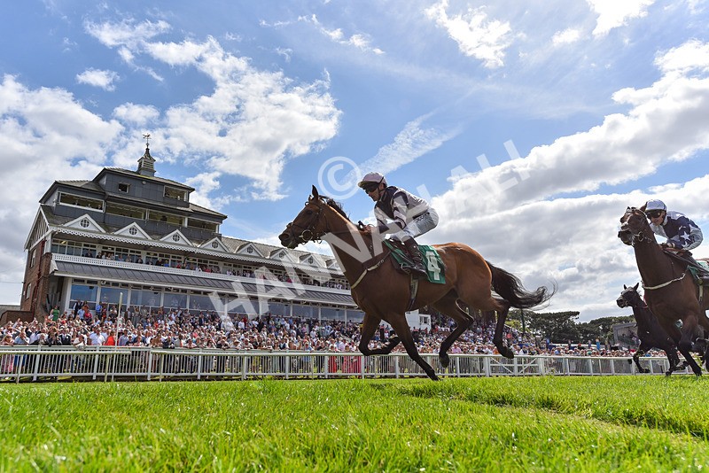 030824-Race 2-Barefoot Warrior-2422 - Race 2