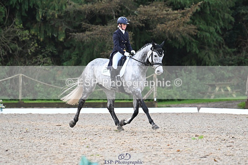 231019-094931-01229 - 028-BOLEYBAWN.COOLEY.LADY-Claire.Fielding-DR