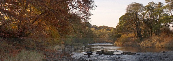 Autumn on the Nith - Panoramics
