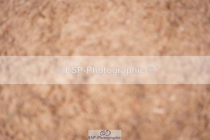 240628A-171550-00431 - Cls 2 Intro 90cm