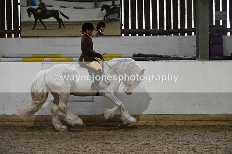 WJ7_3867 - Class 17 Ridden Cob