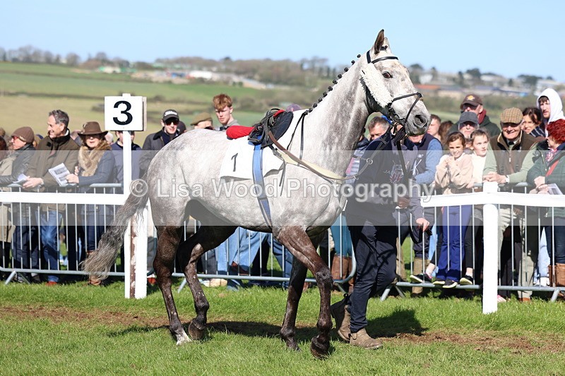 3E7A5609 - Race 6: Maiden (NWFAA)