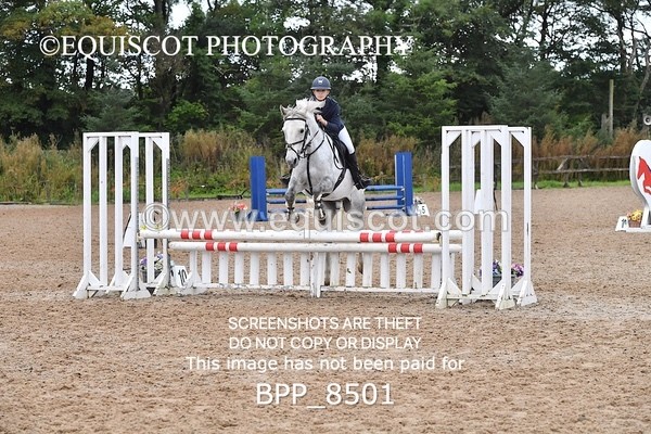 BPP_8501 - CLASS 3 Pony BritiNovice / 0.80m Open