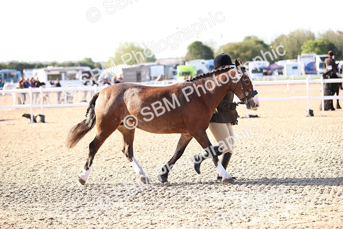 SBM_08476 - Class 402 - IH Veteran Pony