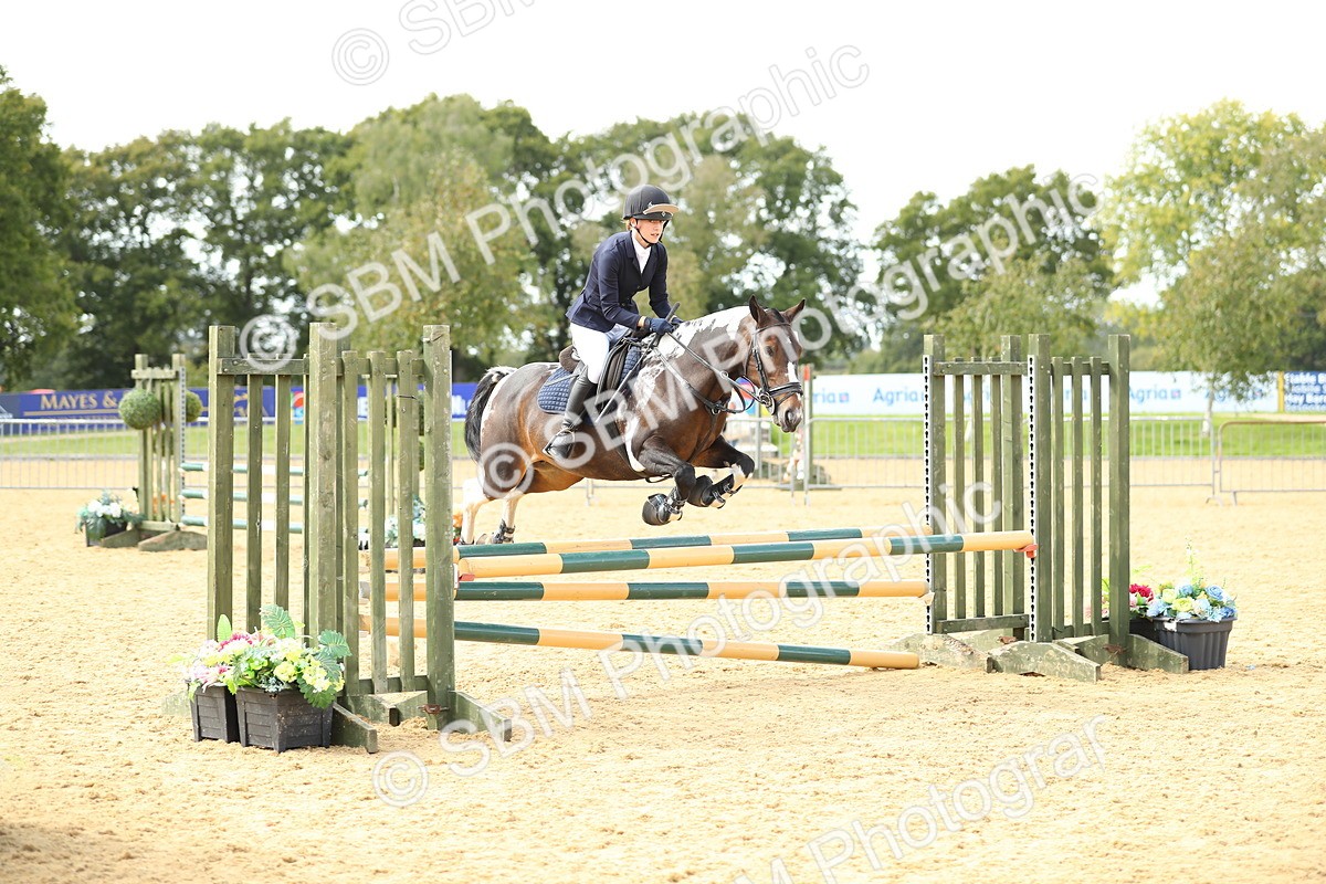 SBM_68001 - J17 - Junior Pony 80cm Championship