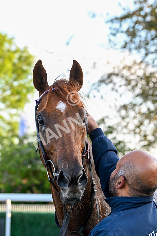 180924-Race 8-Inappropriate-5449 - Race 8