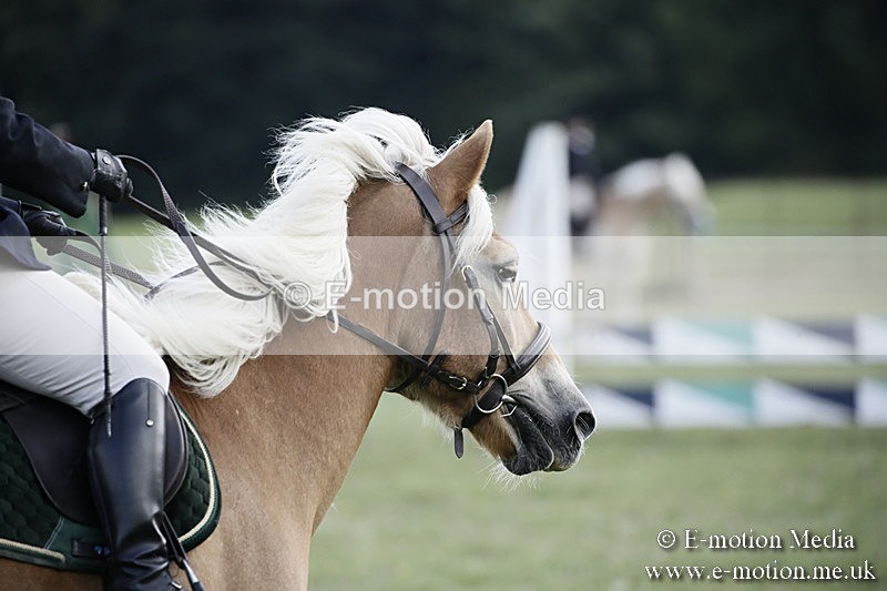 BVR090918 396 - BVRC Dressage and Show Jumping 09/09/18
